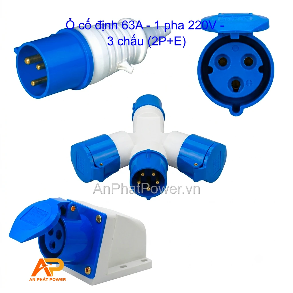 Ổ cố định 63A - 1 pha 220V - 3 chấu (2P+E)