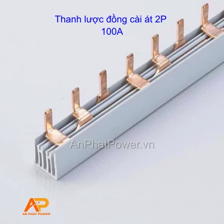 Thanh lược đồng cài át 2P 100A