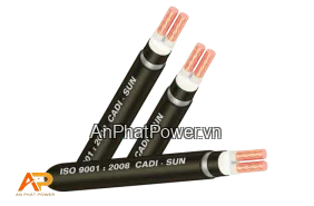 Cáp điện hạ thế 2 lõi Cadisun Cu/XLPE/PVC/DSTA/PVC Chính hãng