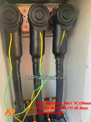 Đầu Cắm Tplug 3M 36kV 3x50mm2 Chính hãng